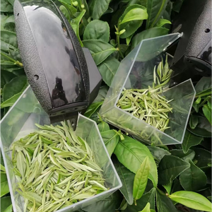 Tea Leaves Picking Machine