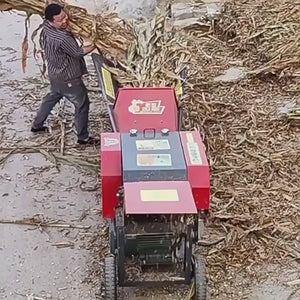 Household Hay Cutter Straw Feed Crusher Dry and Wet Grass Crusher